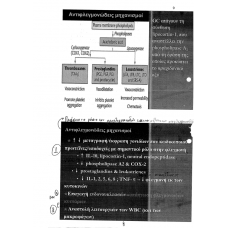 FARMAKA FLOIOU EPINEFRIDIWN 